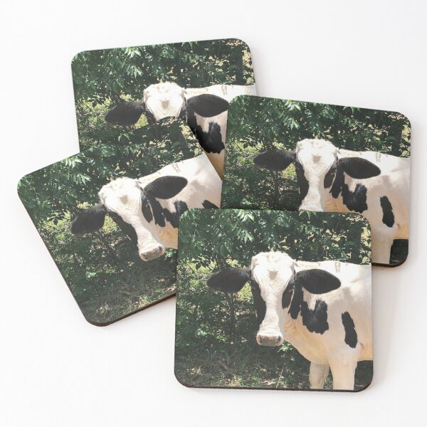 Item preview, Cow photograph designed and sold by CPAdesigns.