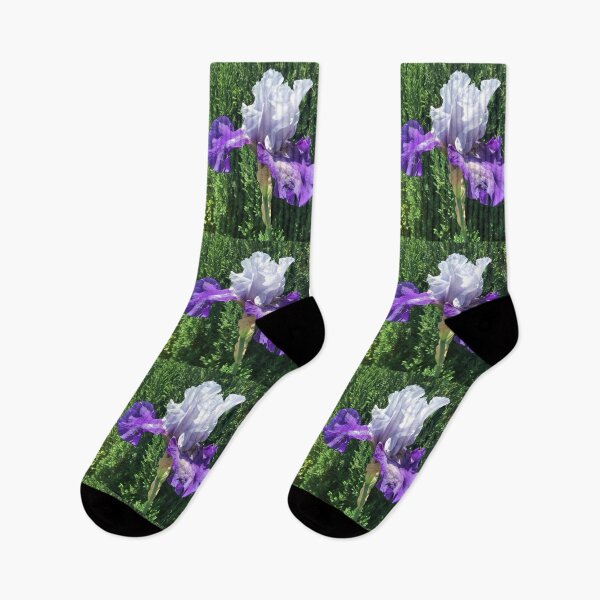 Item preview, Blue and Purple Iris  designed and sold by Amanda1775.