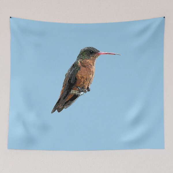 Item preview, A Cinnamon Hummingbird Color Design Painting Print designed and sold by designsasstultd.