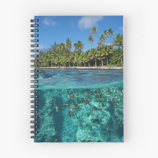 Item preview, Above and below water surface French Polynesia designed and sold by Seaphotoart.