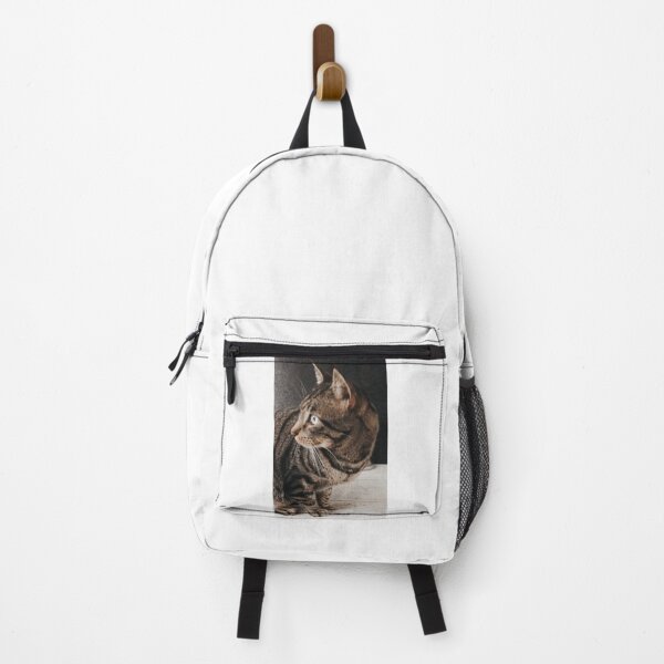 Item preview, cat shoot designed and sold by sharonna-misha.