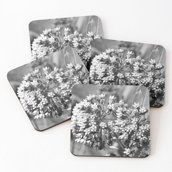 Item preview, milkweed designed and sold by okomedesign.
