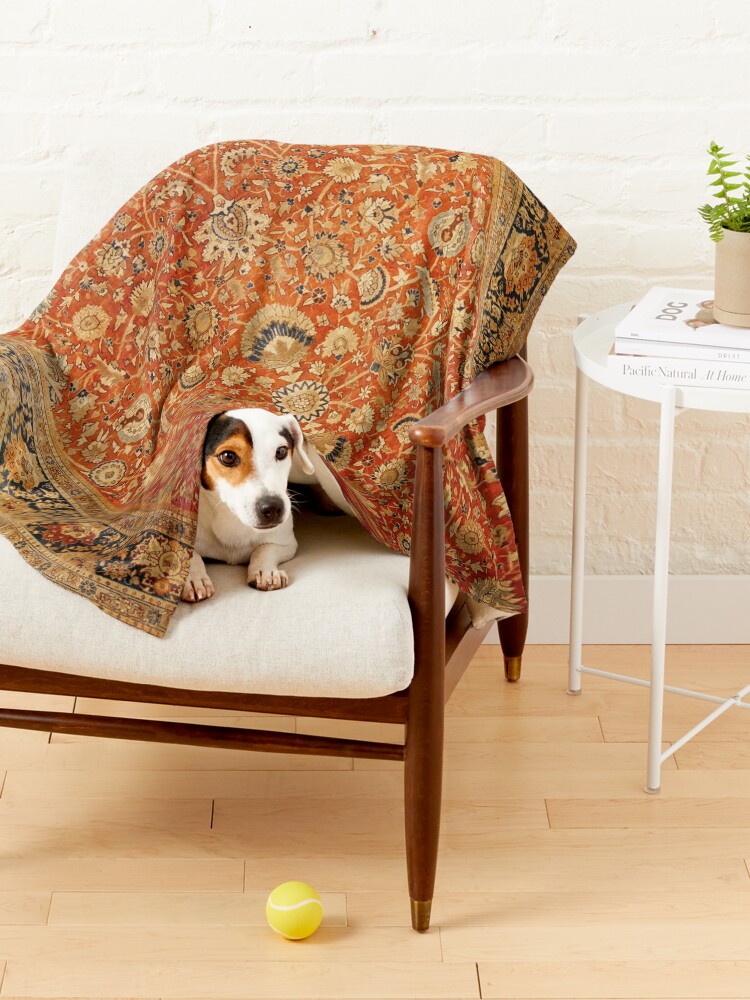 Print shop pet blanket