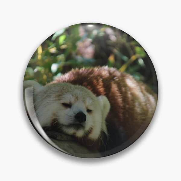 Item preview, Red Panda Sleeping designed and sold by Wayne Thomson.