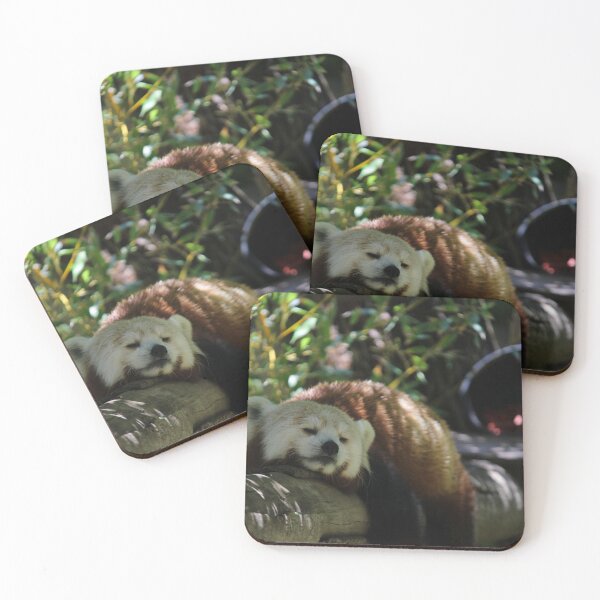 Item preview, Red Panda Sleeping designed and sold by Wayne Thomson.