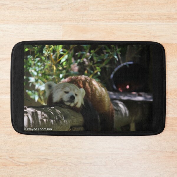 Item preview, Red Panda Sleeping designed and sold by Wayne Thomson.