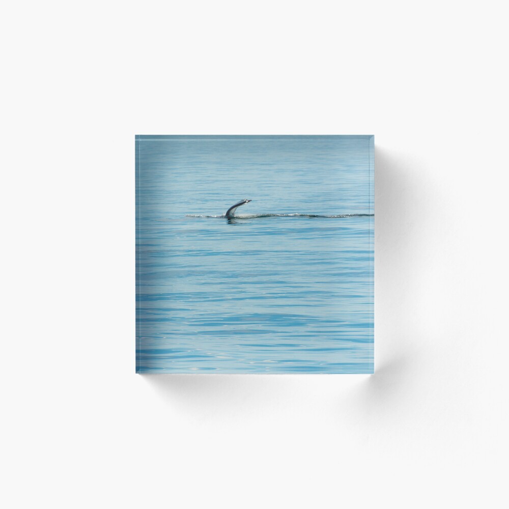 Item preview, Acrylic Block designed and sold by Ruthie33.