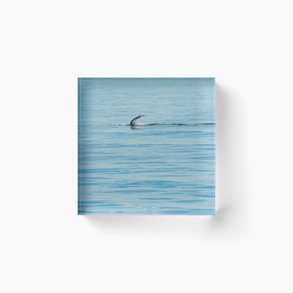 Item preview, Flipper Wave designed and sold by Ruth Curtis.