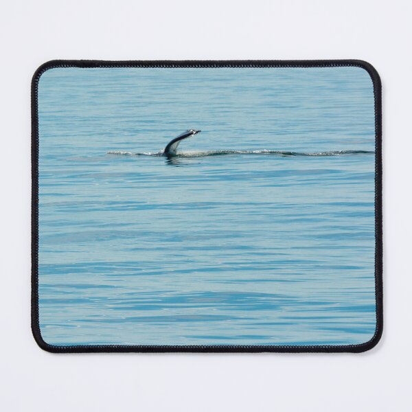 Item preview, Flipper Wave designed and sold by Ruth Curtis.