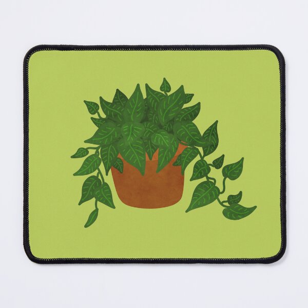 Item preview, Potted Pothos Plant  designed and sold by VioletMorrison.