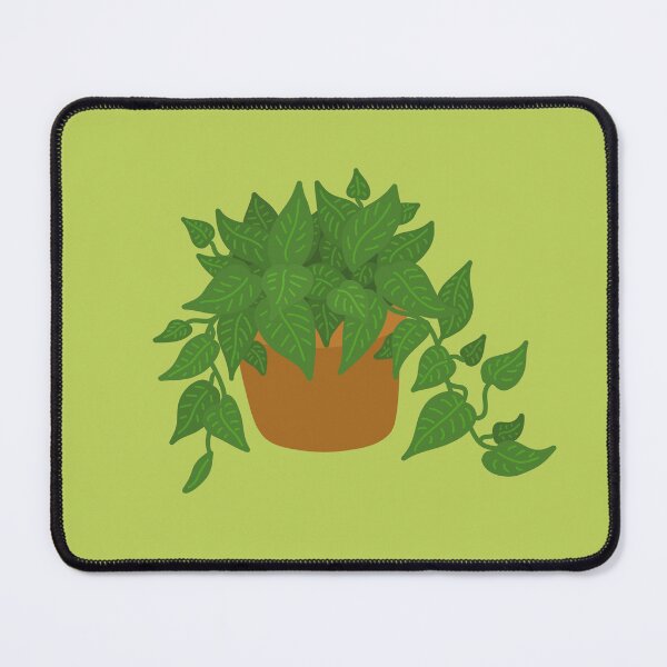 Item preview, Potted Pothos Plant  designed and sold by VioletMorrison.