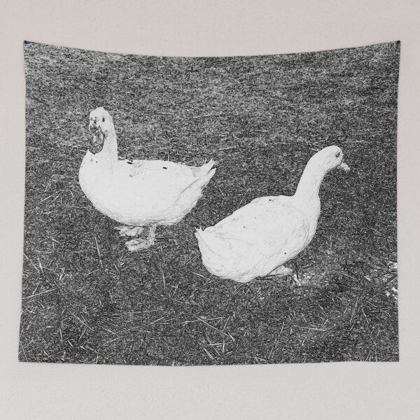 Item preview,  A pair of Ducks abstract  Black- Charcoal White colors  by Iritof designed and sold by iritof.