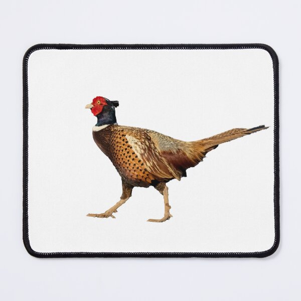 Item preview, Ring-necked pheasant designed and sold by WendyEMiller.