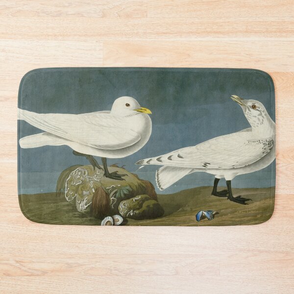 Item preview, Ivory Gull - John James Audubon Birds of America designed and sold by Natural History Prints.
