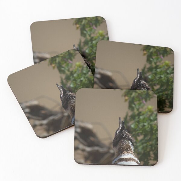 Aperçu de l'œuvre Pingouin hurlant créée et vendue par Wayne Thomson.