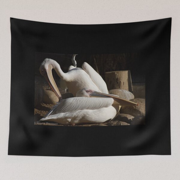 Item preview, Pelicans designed and sold by Wayne Thomson.