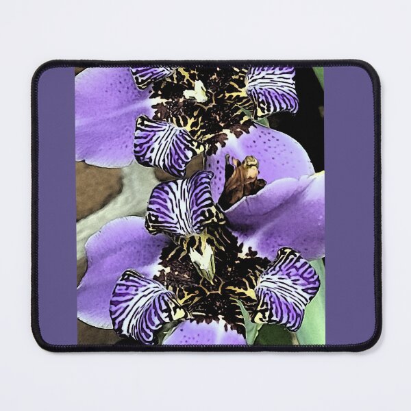 Item preview, Walking Iris Twins designed and sold by SandraLSherrill.