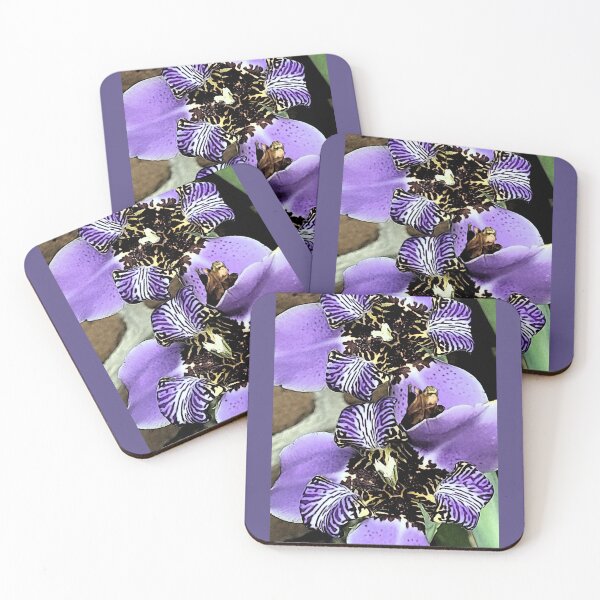 Item preview, Walking Iris Twins designed and sold by SandraLSherrill.