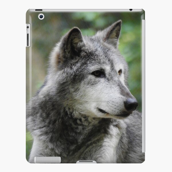 Grey wolf iPad Snap Case