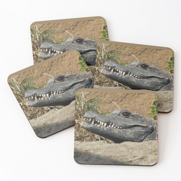 Item preview, What A Croc designed and sold by Wayne Thomson.
