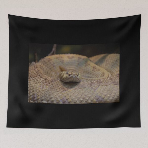 Item preview, Strike designed and sold by Wayne Thomson.