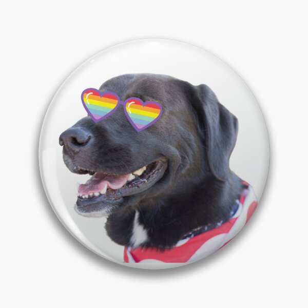 Artikelvorschau, Schwarzer Labrador mit Brille. Schwarzer Labrador mit Brille. Goldenes Labor mit Brille entworfen und verkauft von Doggymadness.