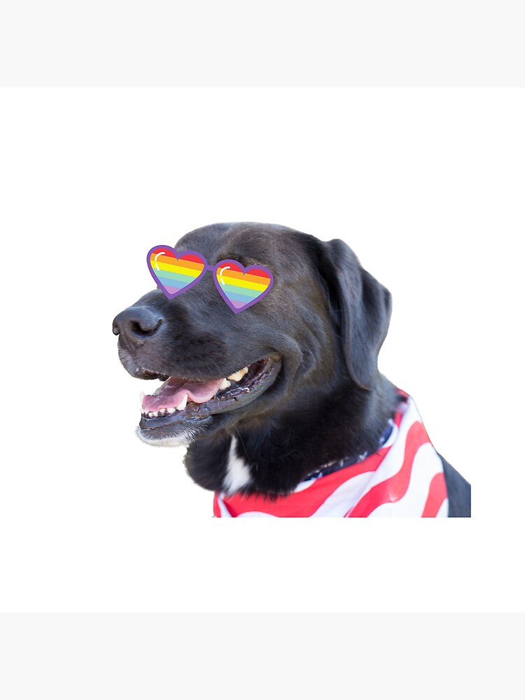 "Black labrador with Glasses. Black lab with glasses. Golden lab wth glasses " Poster for Sale