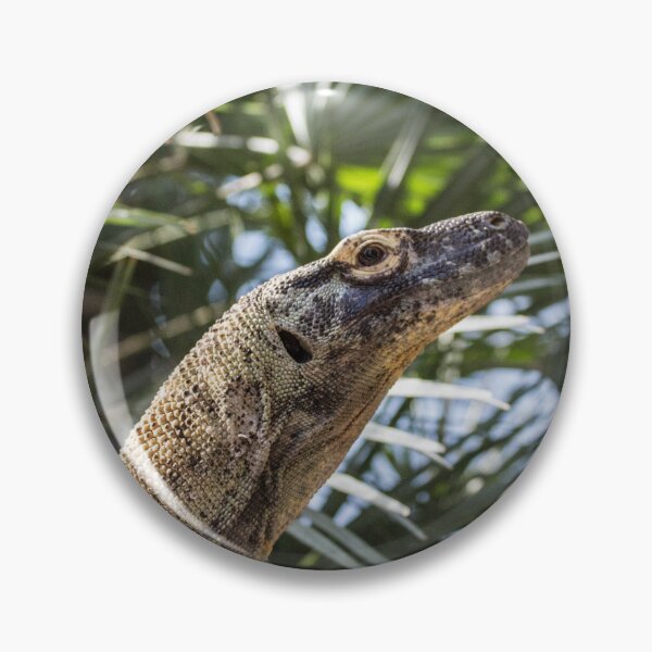 Item preview, Blended Komodo designed and sold by Wayne Thomson.