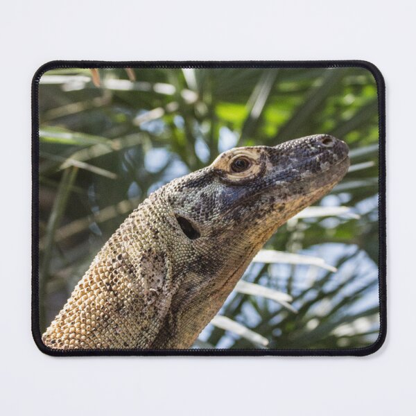 Item preview, Blended Komodo designed and sold by Wayne Thomson.