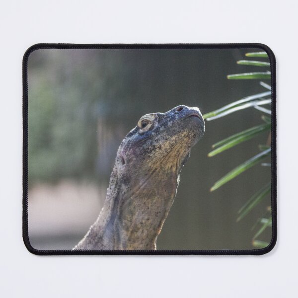 Item preview, Dragon Pose designed and sold by Wayne Thomson.