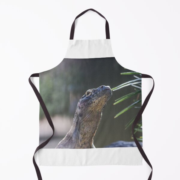 Item preview, Dragon Pose designed and sold by Wayne Thomson.