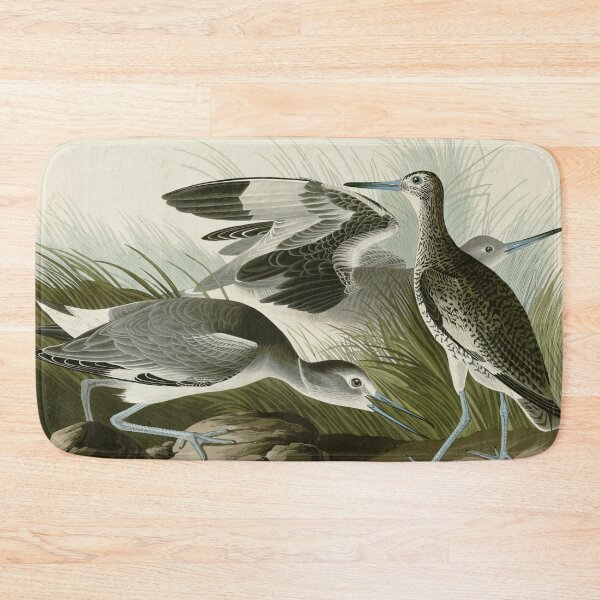 Item preview, Willet - John James Audubon Birds of America designed and sold by Natural History Prints.