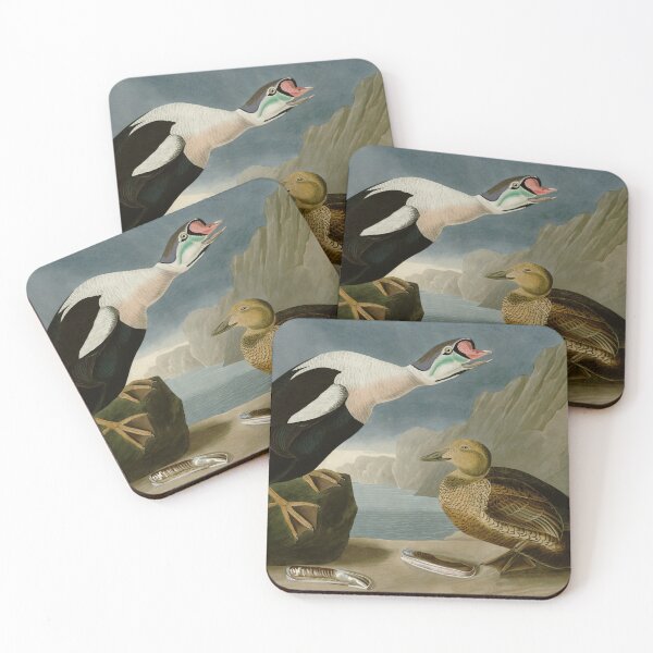 Item preview, King Duck - John James Audubon Birds of America designed and sold by Natural History Prints.