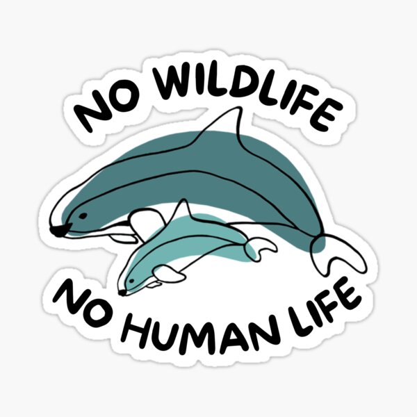 No Vaquita Porpoise Wildlife, No Human Life Sticker