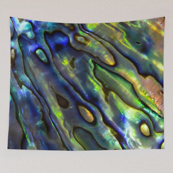 Item preview, Abstract Paua Abalone Shell Texture Pattern, Polished Paua Abalone Shell, Multicolor Paua Abalone Shell Haliotis Background, Shiny Mother Of Pearl Paua Abalone Shell designed and sold by Paintcorner.