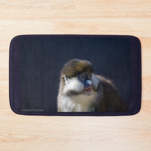 Item preview, Surprised Guenon designed and sold by Wayne Thomson.