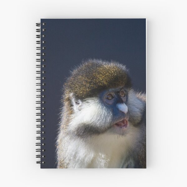 Item preview, Surprised Guenon designed and sold by Wayne Thomson.