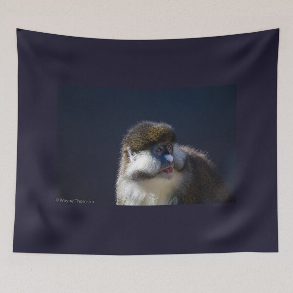 Item preview, Surprised Guenon designed and sold by Wayne Thomson.