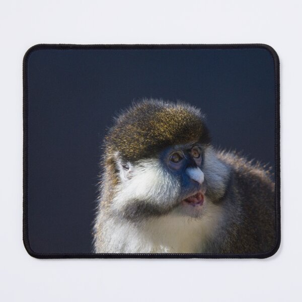 Item preview, Surprised Guenon designed and sold by Wayne Thomson.