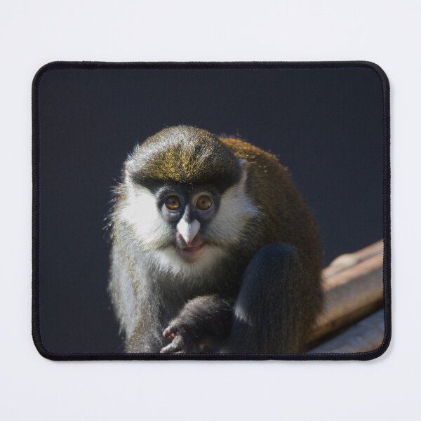 Item preview, Guenon Star designed and sold by Wayne Thomson.