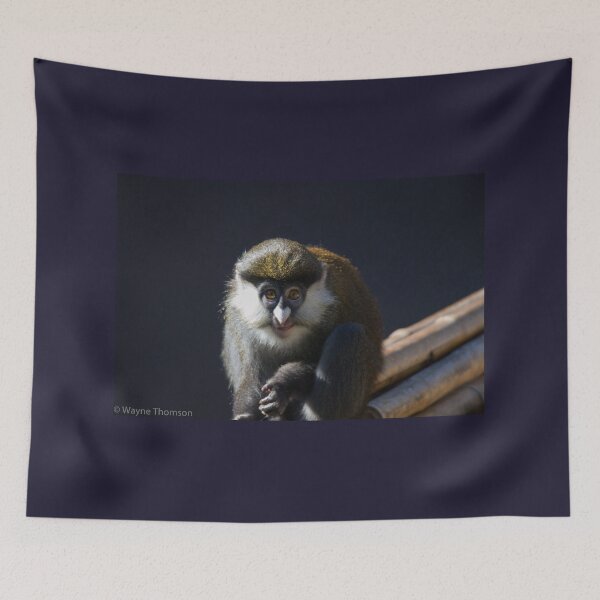 Item preview, Guenon Star designed and sold by Wayne Thomson.