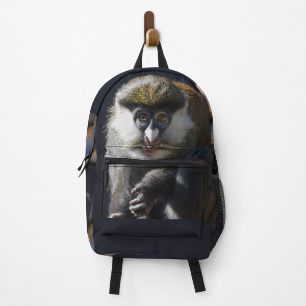 Item preview, Guenon Star designed and sold by Wayne Thomson.