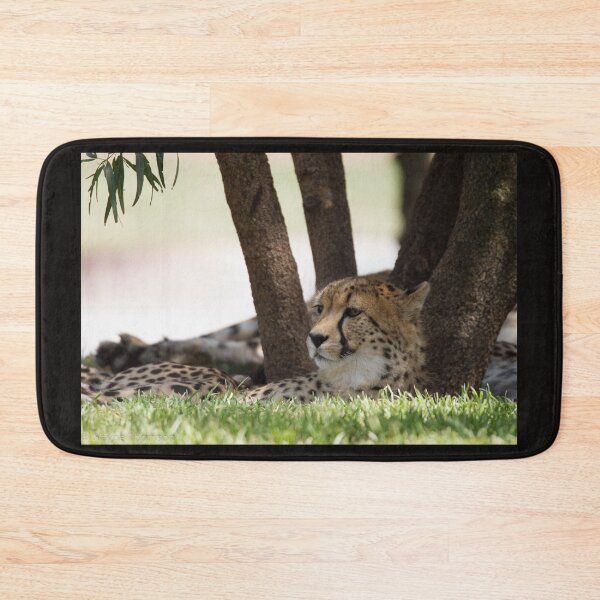 Item preview, Resting Cheetah designed and sold by Wayne Thomson.