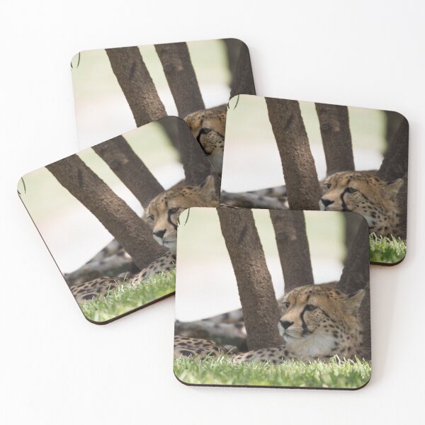 Item preview, Guepardo descansando designed and sold by Wayne Thomson.