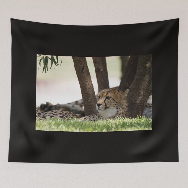 Item preview, Resting Cheetah designed and sold by Wayne Thomson.