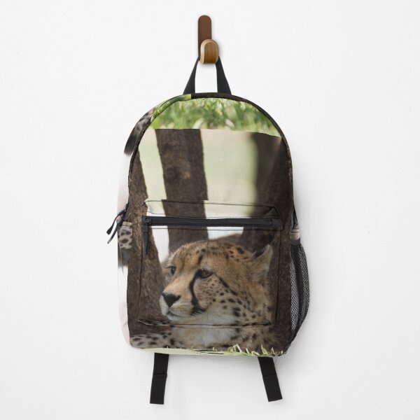 Item preview, Resting Cheetah designed and sold by Wayne Thomson.