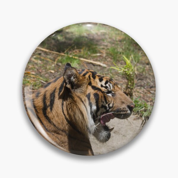 Item preview, Yawning Tiger designed and sold by Wayne Thomson.