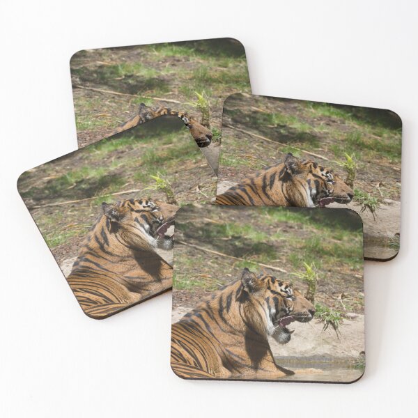 Item preview, Yawning Tiger designed and sold by Wayne Thomson.