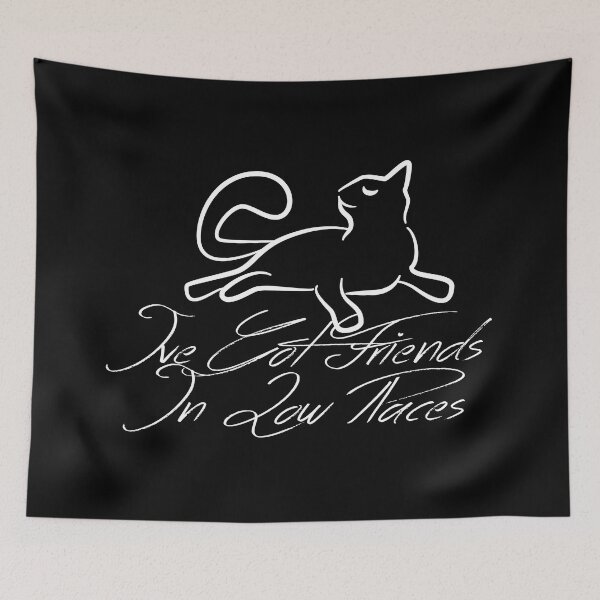 Item preview, Ive Got Friends In Low Places Cat Handwritten Punny Lyrics designed and sold by PunnyLyrics.