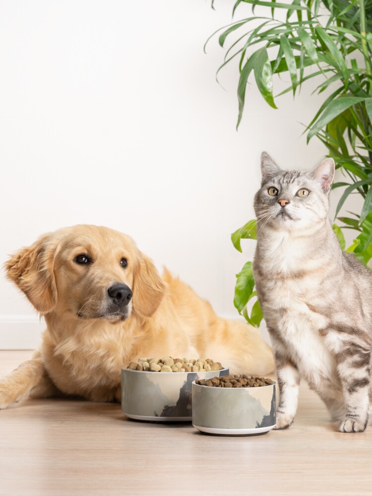Alternate view of Ha Long Bay Pet Bowl